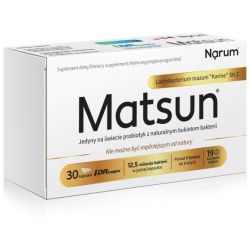 Matsun Lactobacterium mazuni 